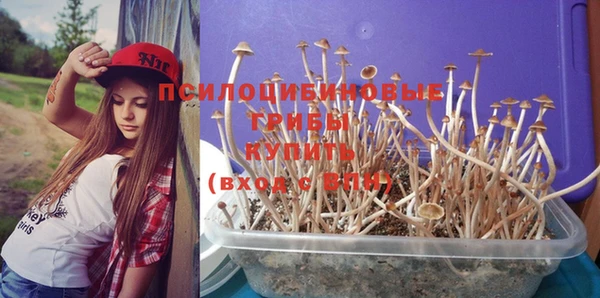 гашик Покачи